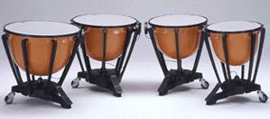 Read more about the article Ontario Trillium Foundation awards grant to purchase percussion instruments